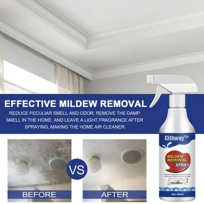 AEXZR® Highly Effective Mould Removal Spray - Prevents Mould Regrowth