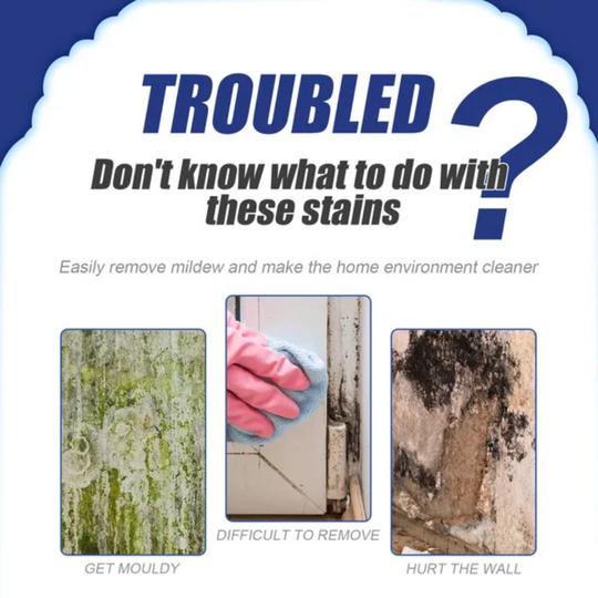 AEXZR® Highly Effective Mould Removal Spray - Prevents Mould Regrowth