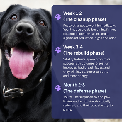 RZXEA™ Pet Pro-Gut Series