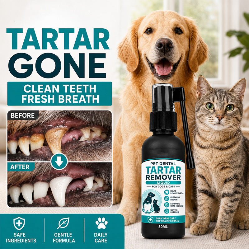 Limited Stock!!! AEXZR® Spray delicato per la pulizia dentale degli animali domestici