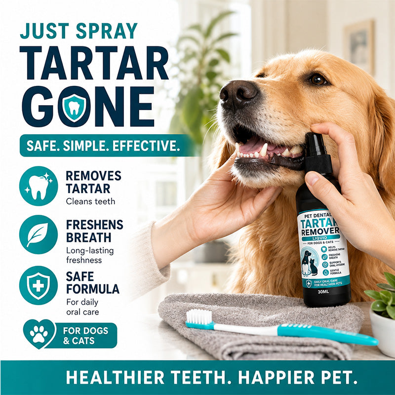 Limited Stock!!! AEXZR® Spray delicato per la pulizia dentale degli animali domestici